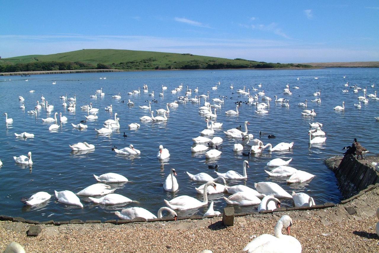 Abbotsbury Tea Rooms Екстериор снимка